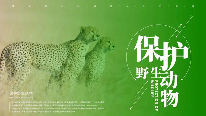 乐鱼·体育中国官方网站世界野生动植物保护日到了保护野生动物环保主题PPT模板合集(图1)