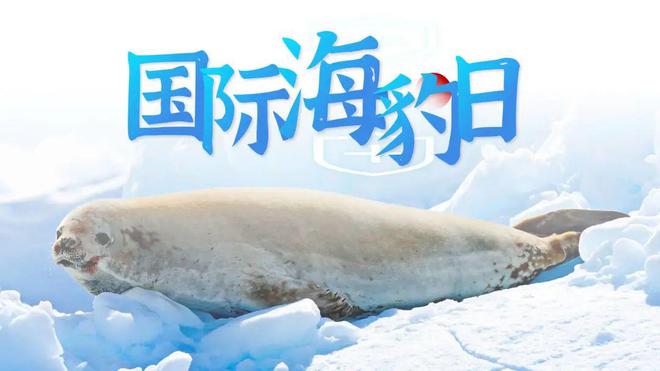 乐鱼·体育中国官方网站世界野生动植物保护日到了保护野生动物环保主题PPT模板合集(图3)